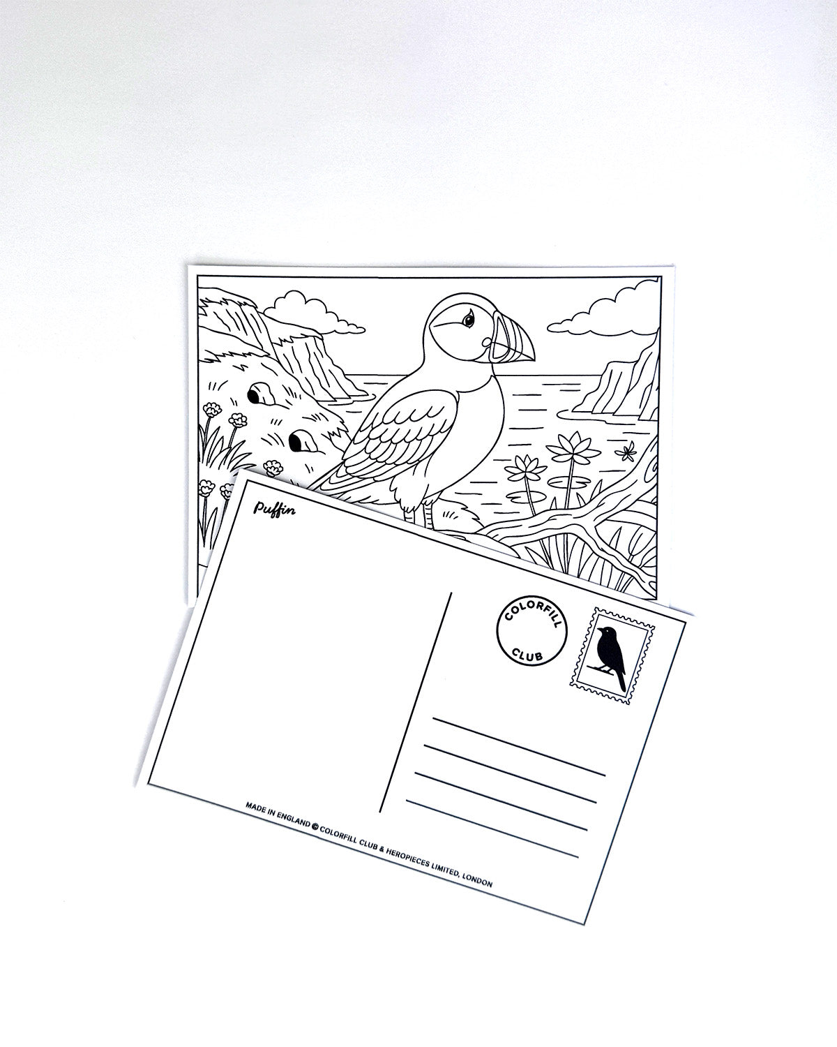 Birds Colouring Postcard Set