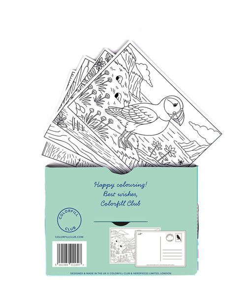 Birds Colouring Postcard Set
