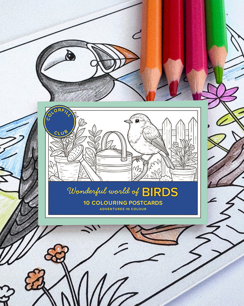 Birds Colouring Postcard Set