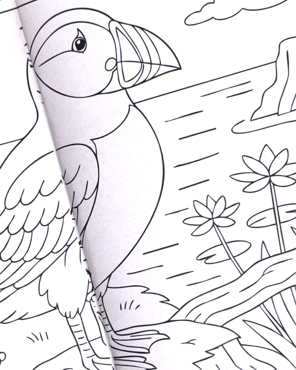 World of Birds Colouring Book