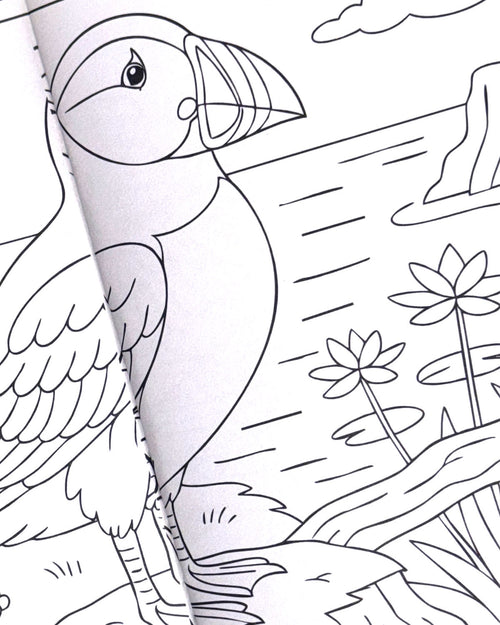 World of Birds Illustrated Colouring Book