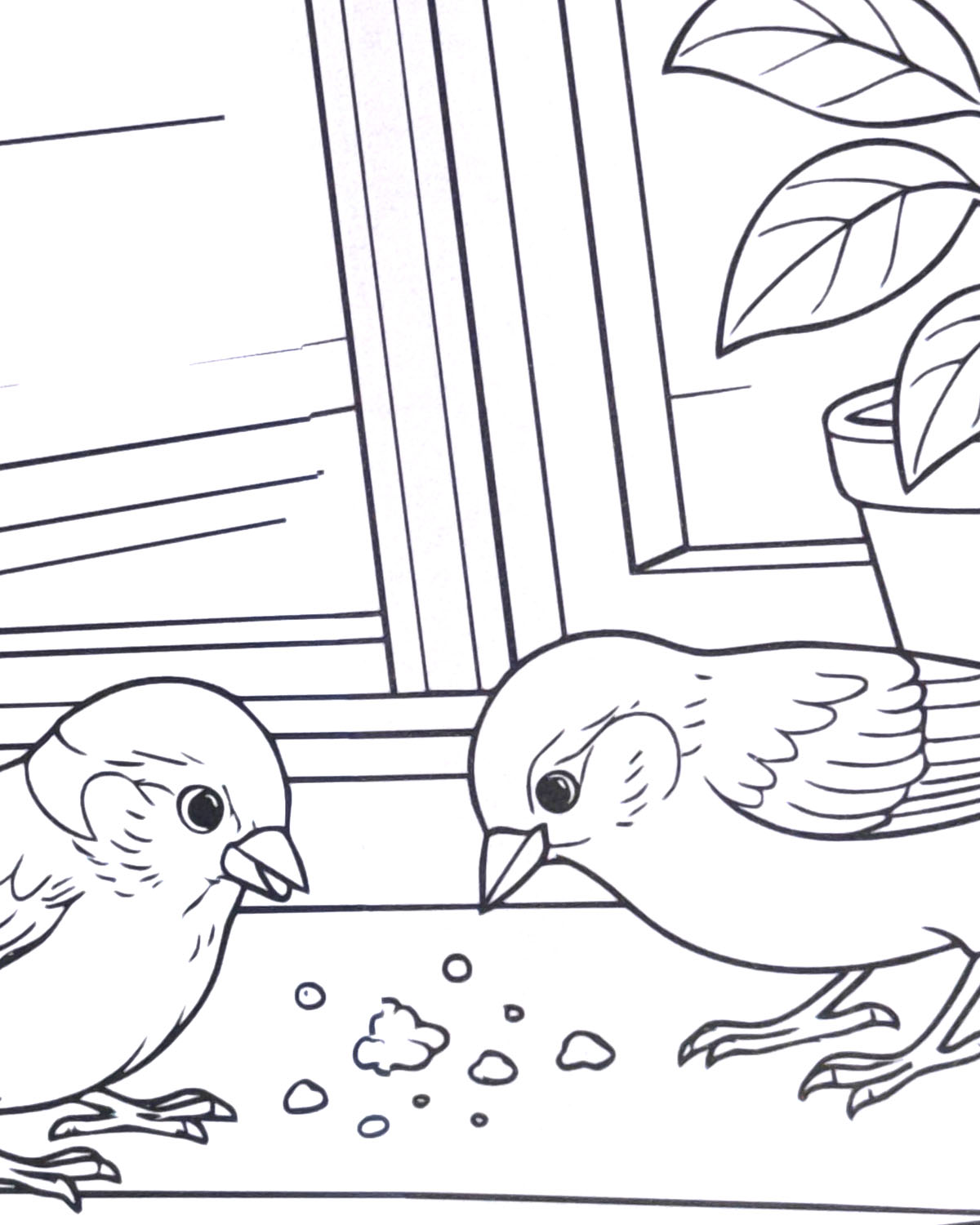 World of Birds Colouring Book