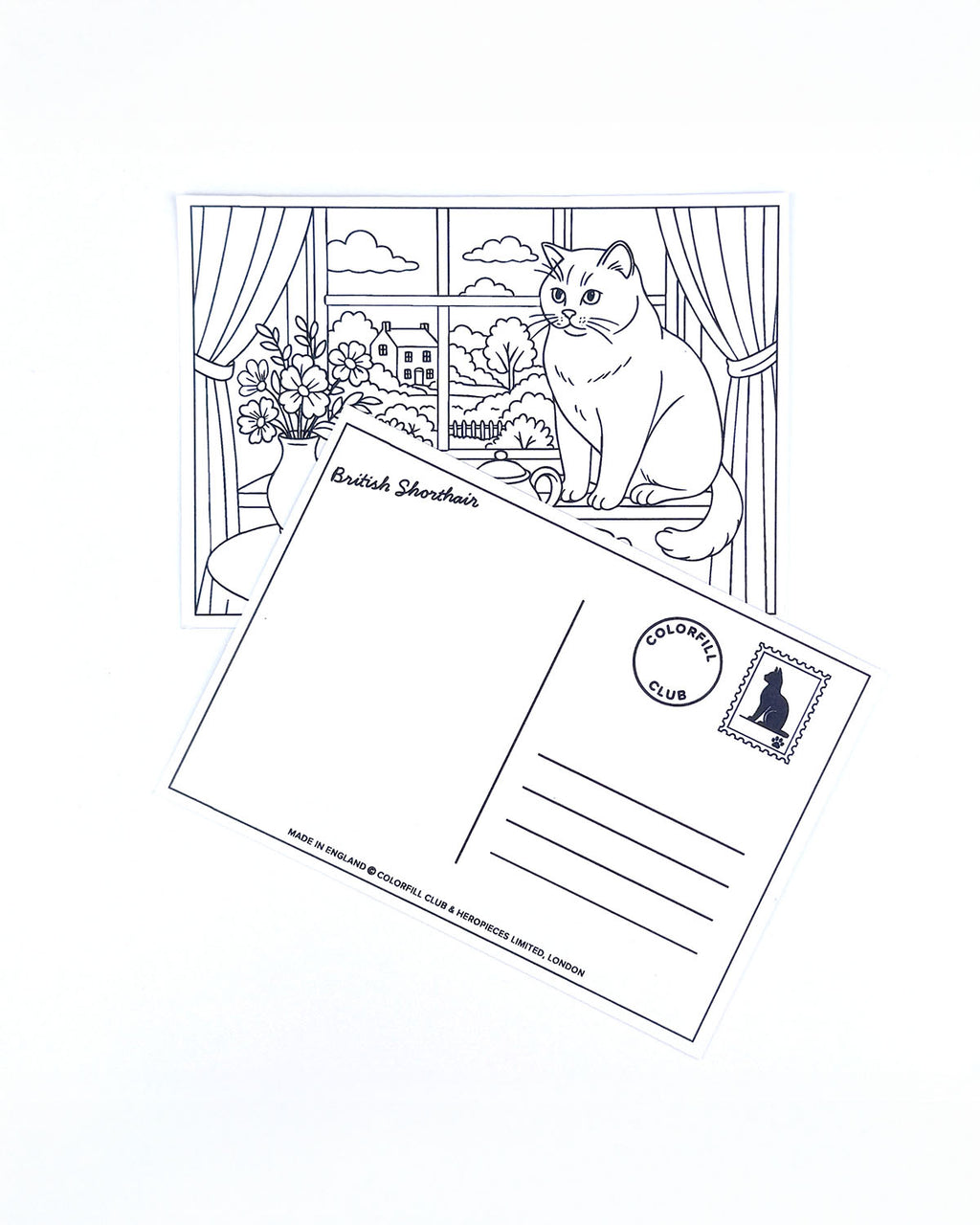 Cats Colouring Postcard Set