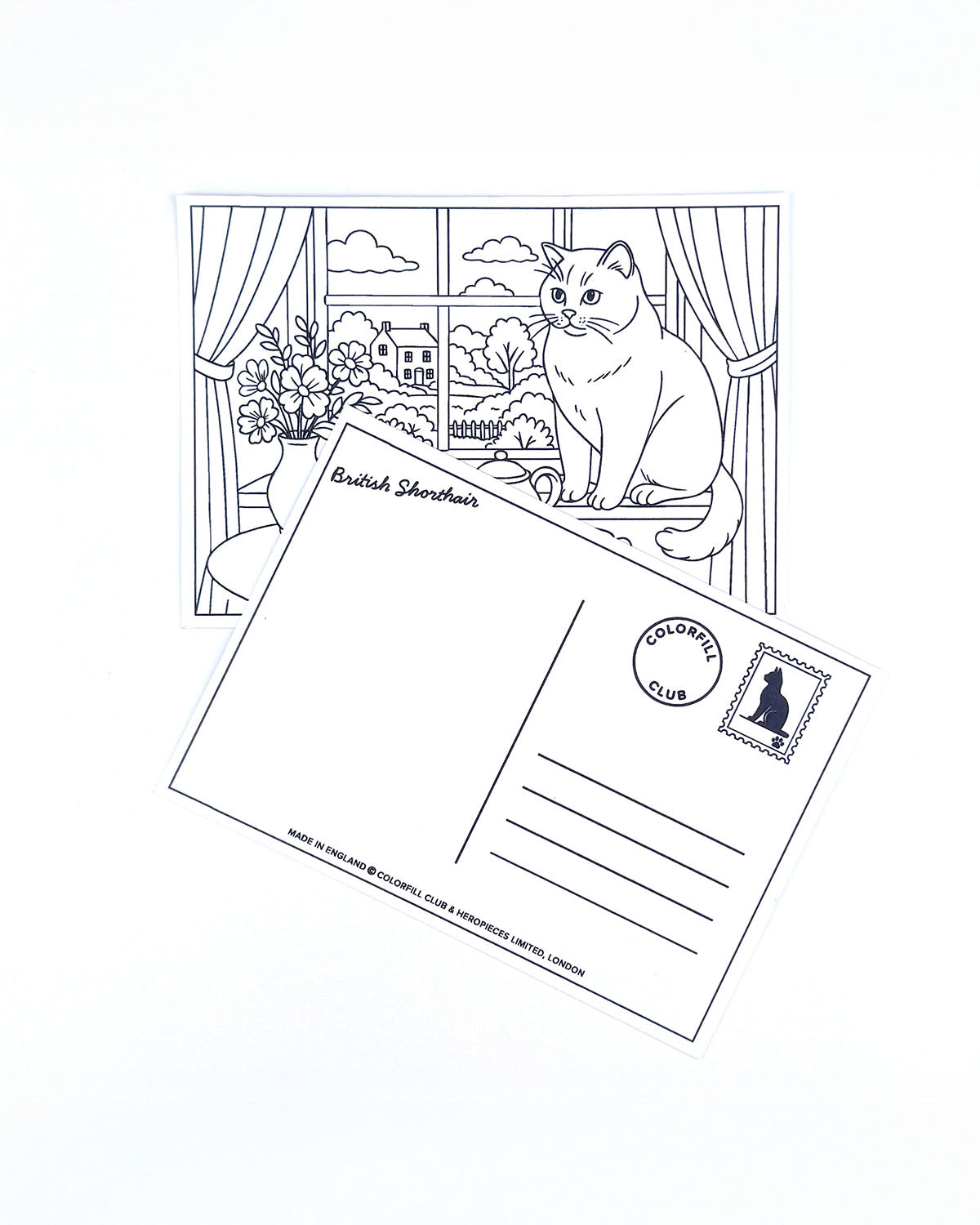 Cats Colouring Postcard Set