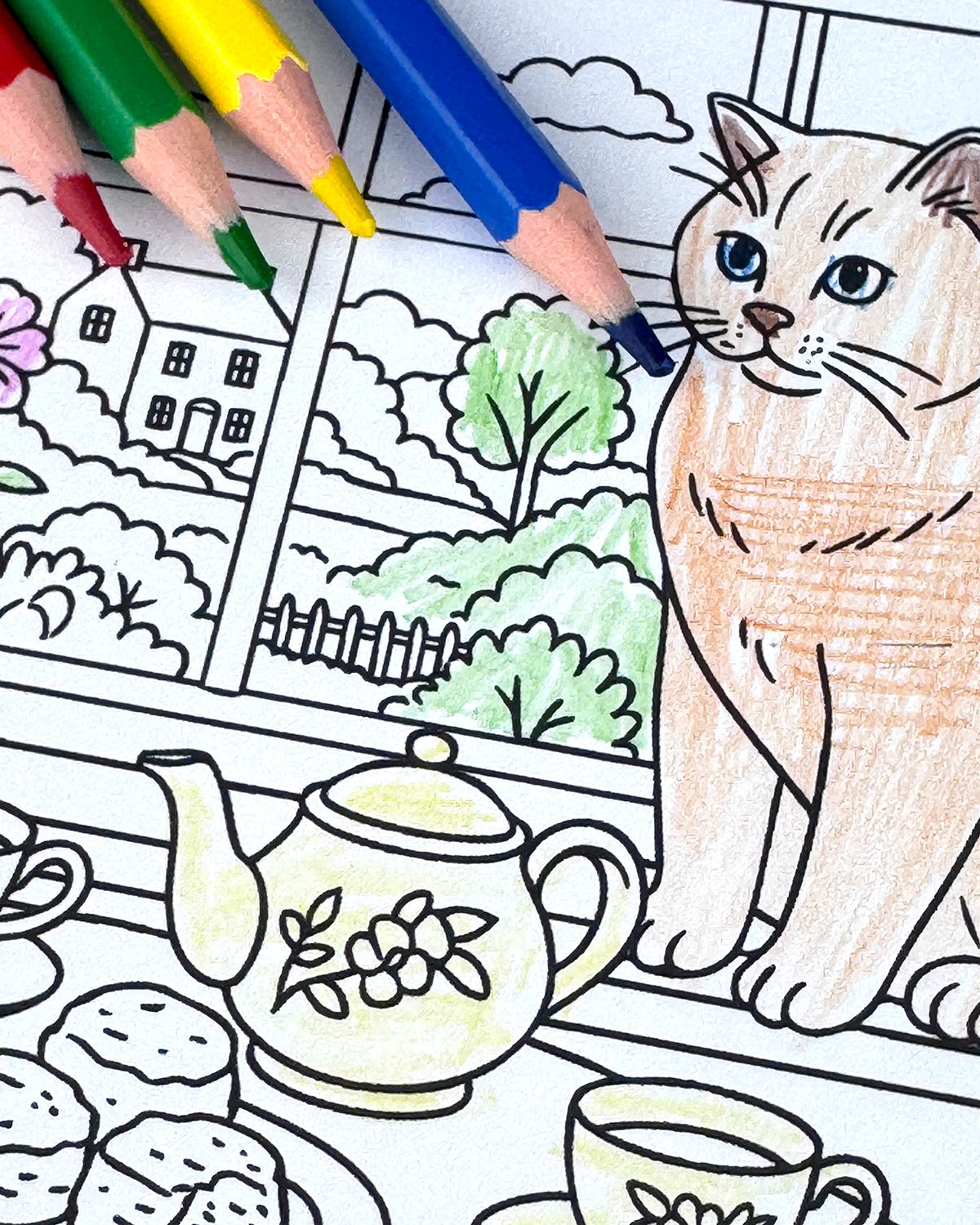 Cats Colouring Postcard Set