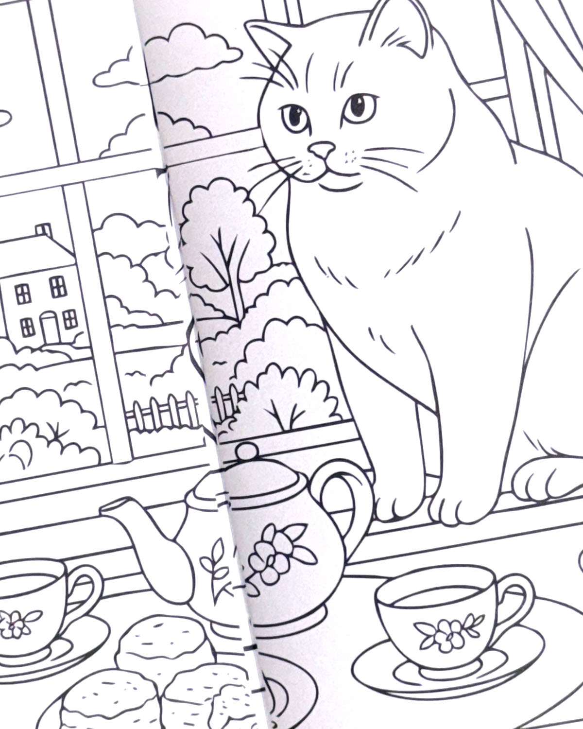World of Cats Colouring Book