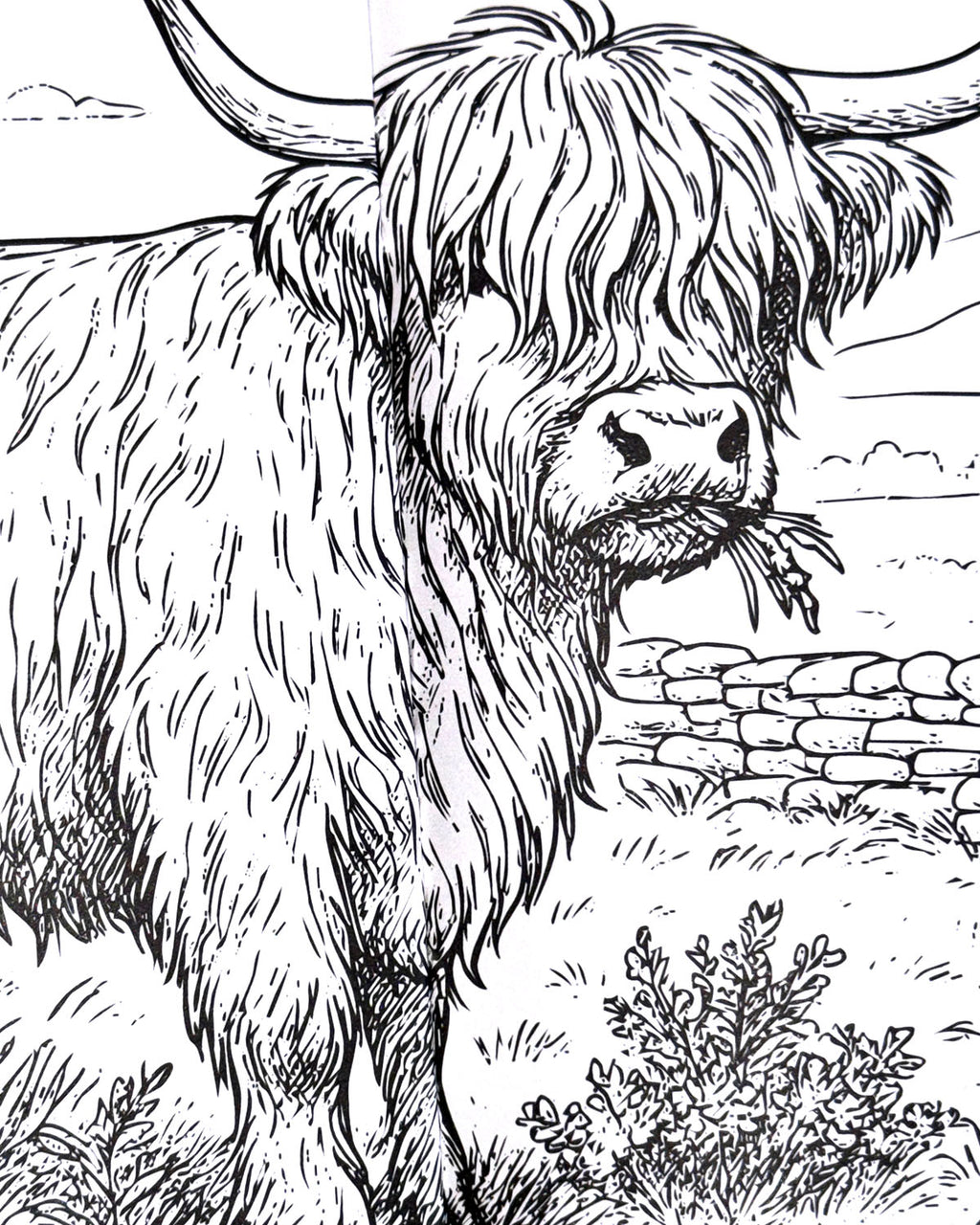 Life in the Countryside Colouring Book