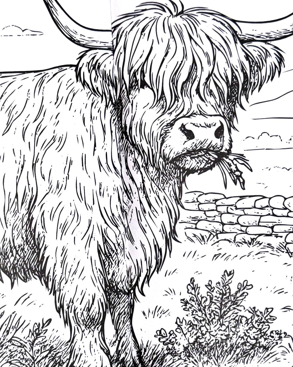 Life in the Countryside Colouring Book