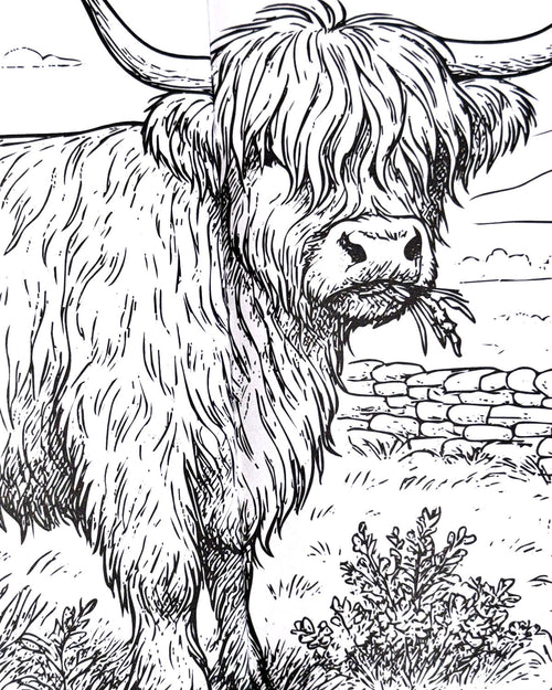 Life in the Countryside Illustrated Colouring Book