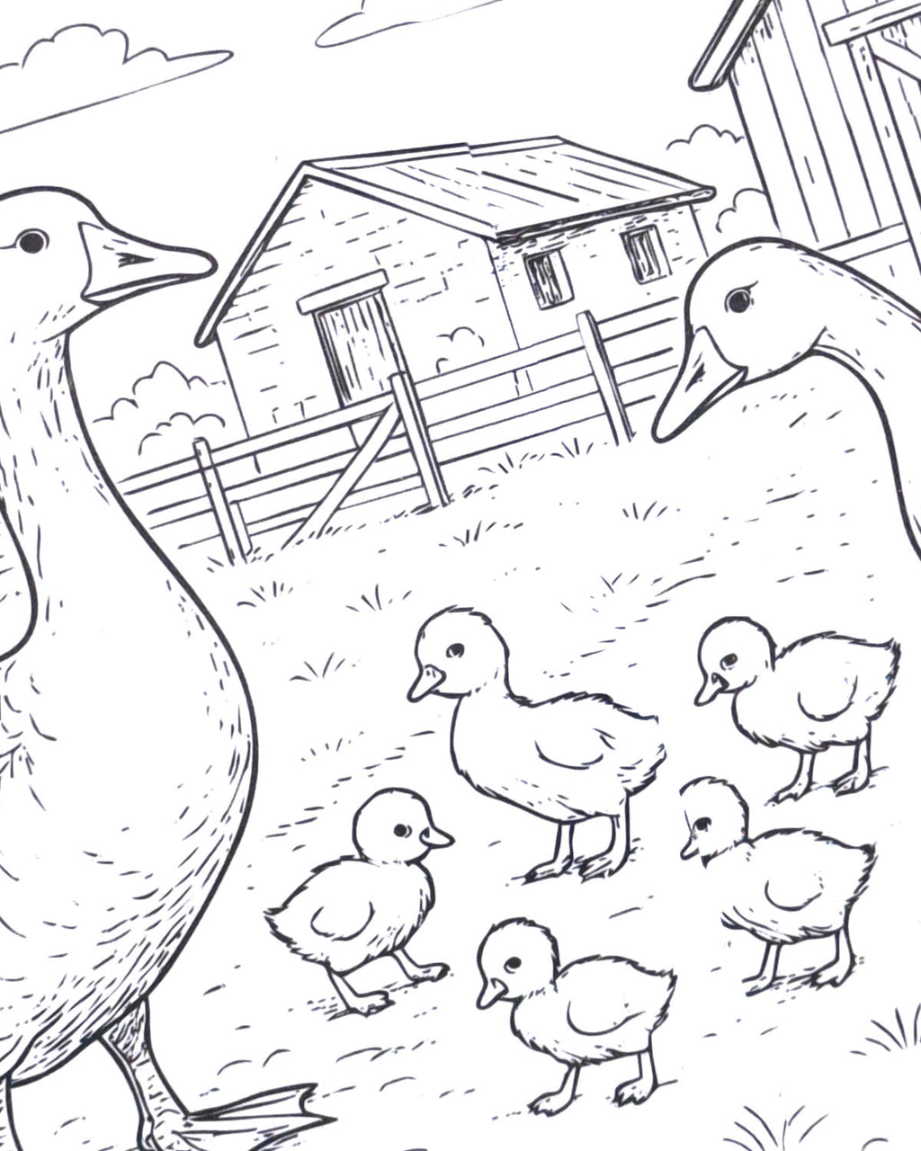 Life in the Countryside Colouring Book
