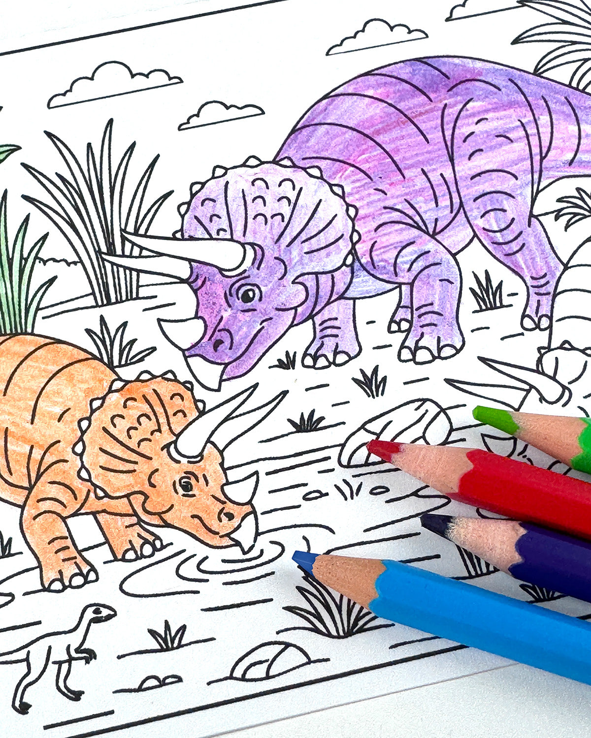 Dinosaurs Colouring Postcard Set