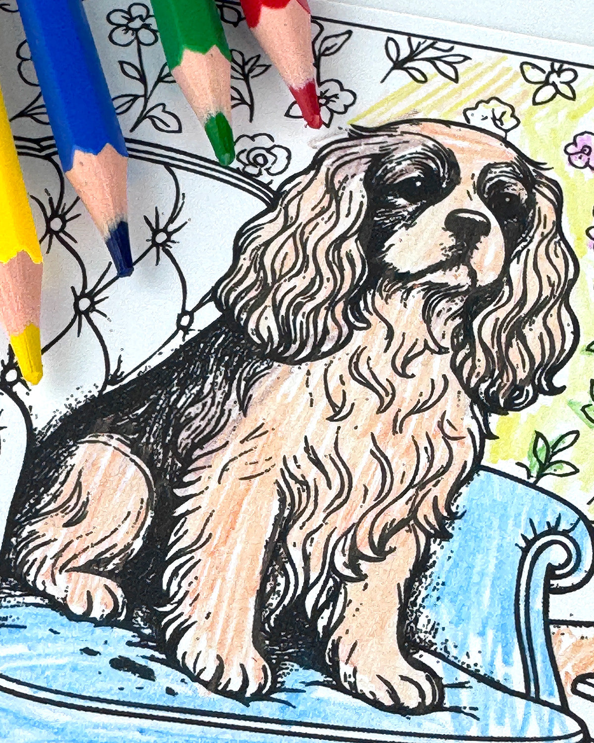Dogs Colouring Postcard Set