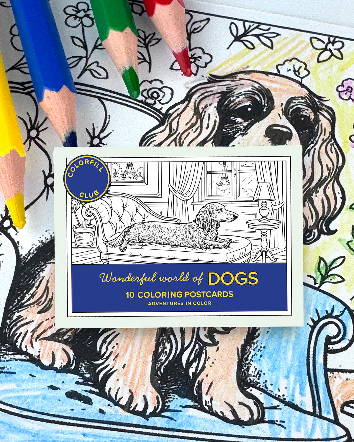 Dogs Colouring Postcard Set