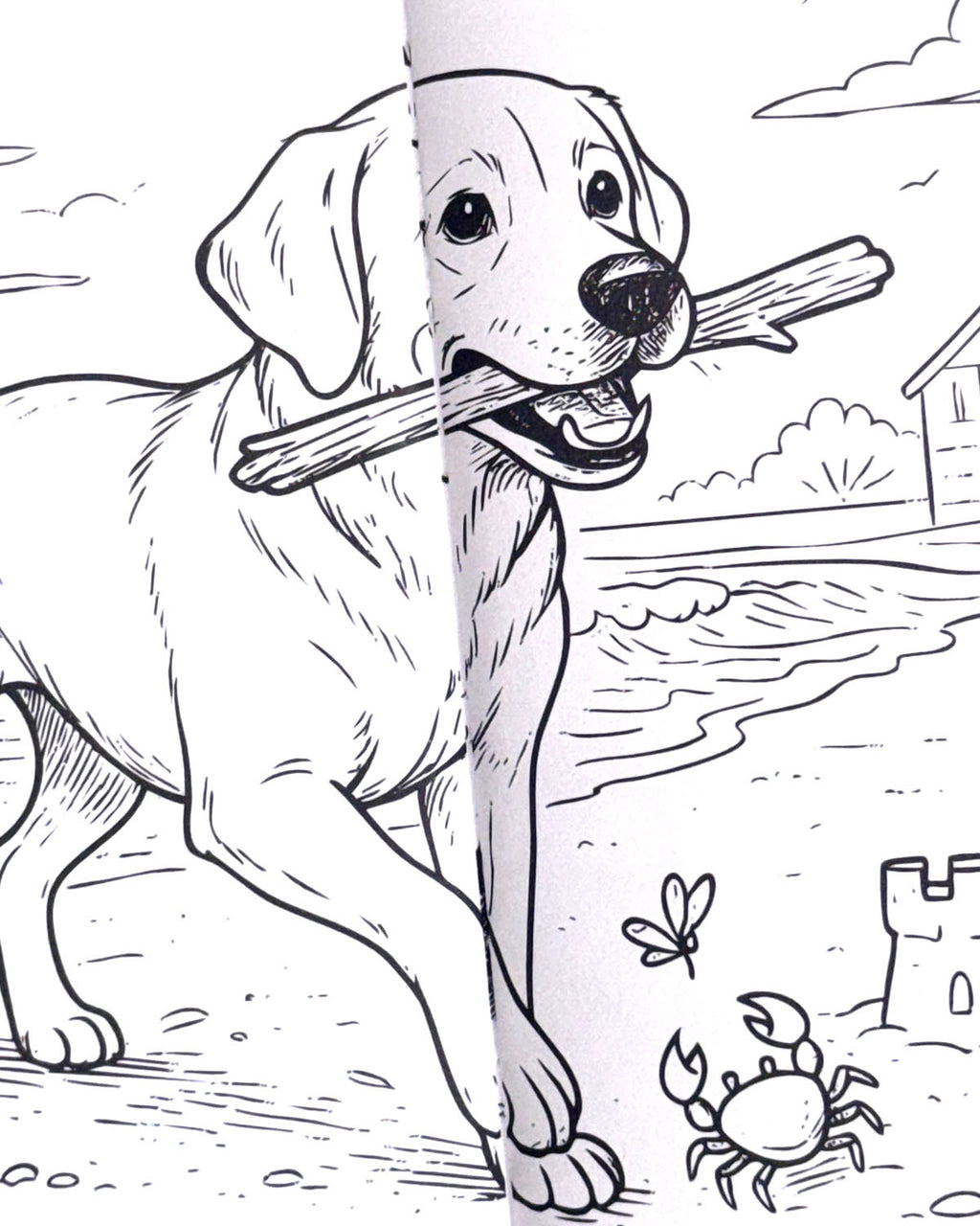 World of Dogs Colouring Book