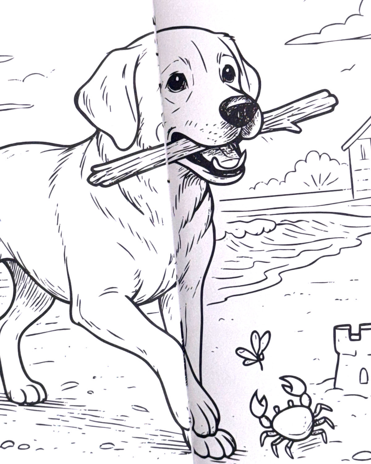 World of Dogs Colouring Book
