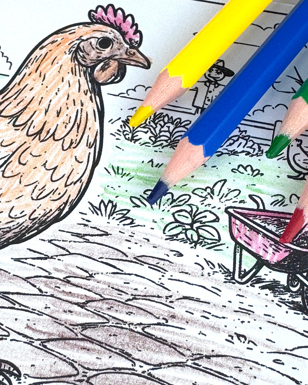 Farm Life Colouring Postcard Set