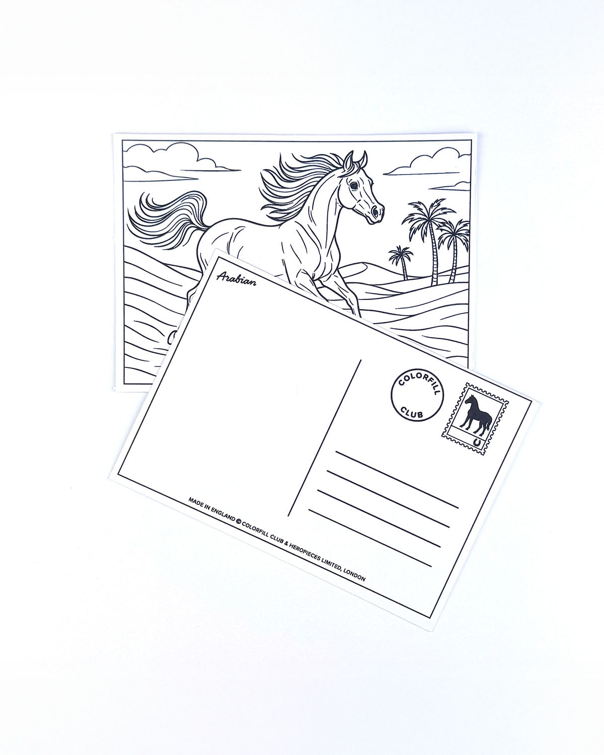 Horses Colouring Postcard Set