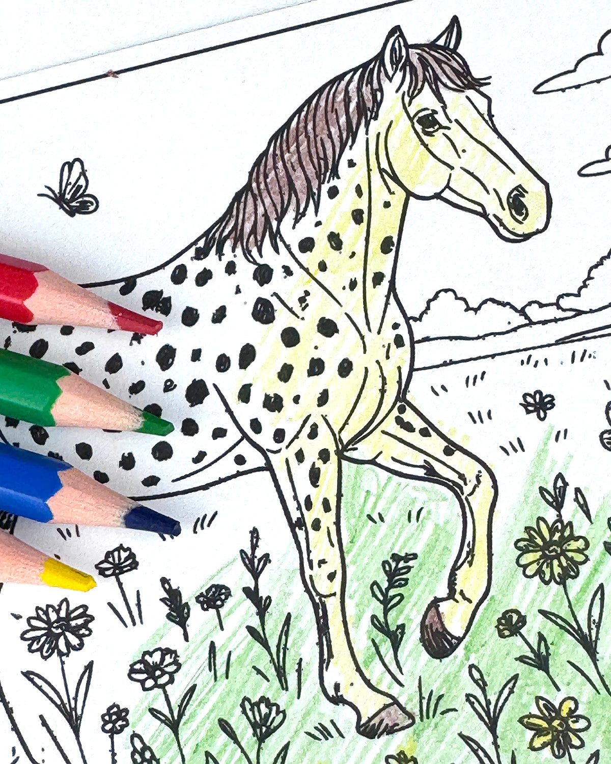 Horses Colouring Postcard Set