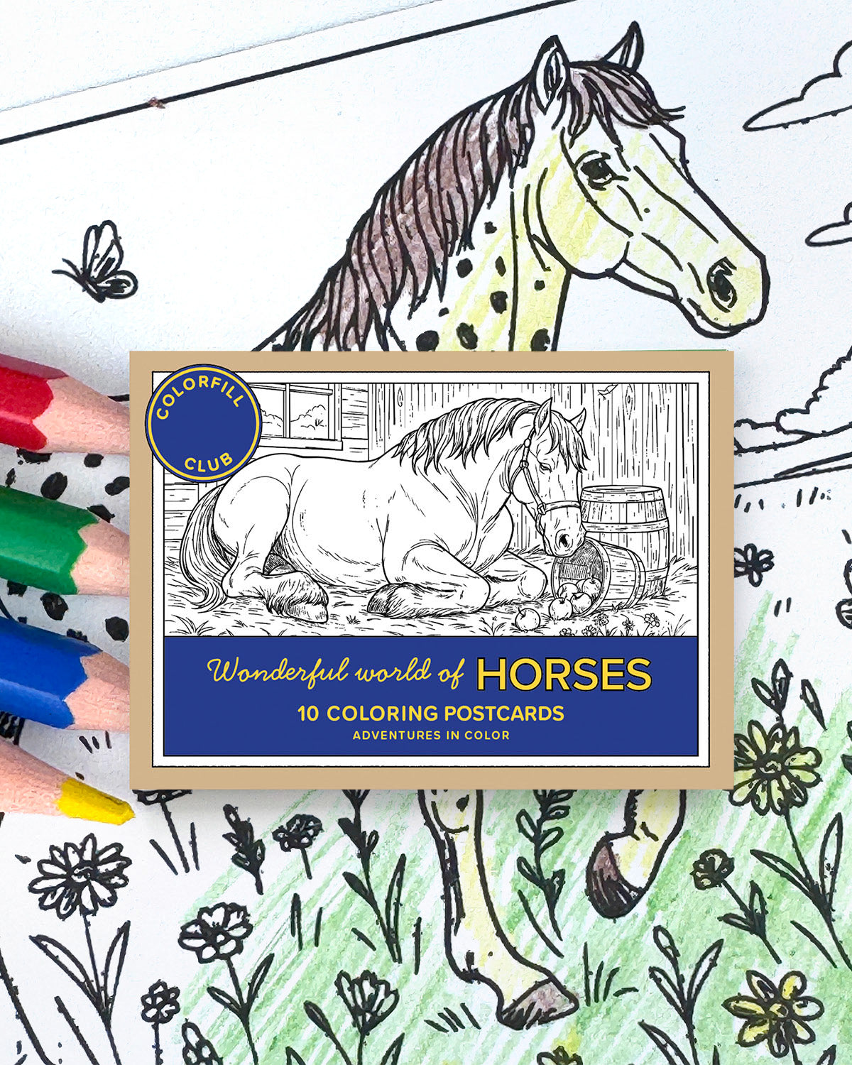 Horses Colouring Postcard Set