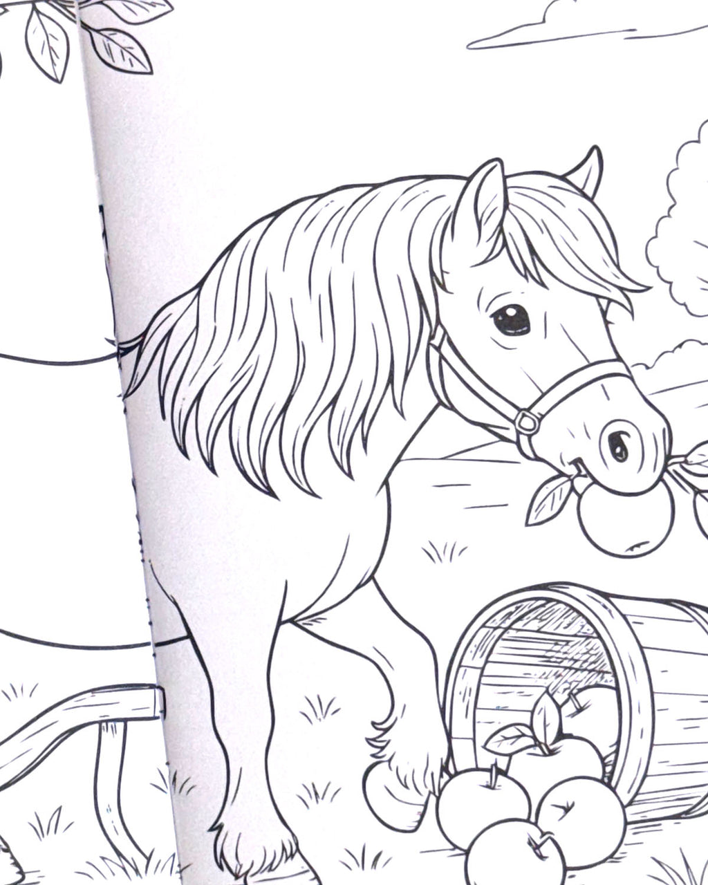 World of Horses Colouring Book