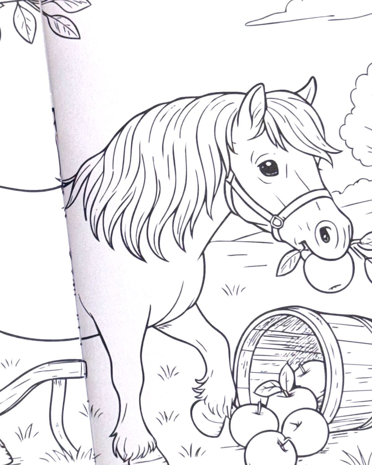 World of Horses Colouring Book