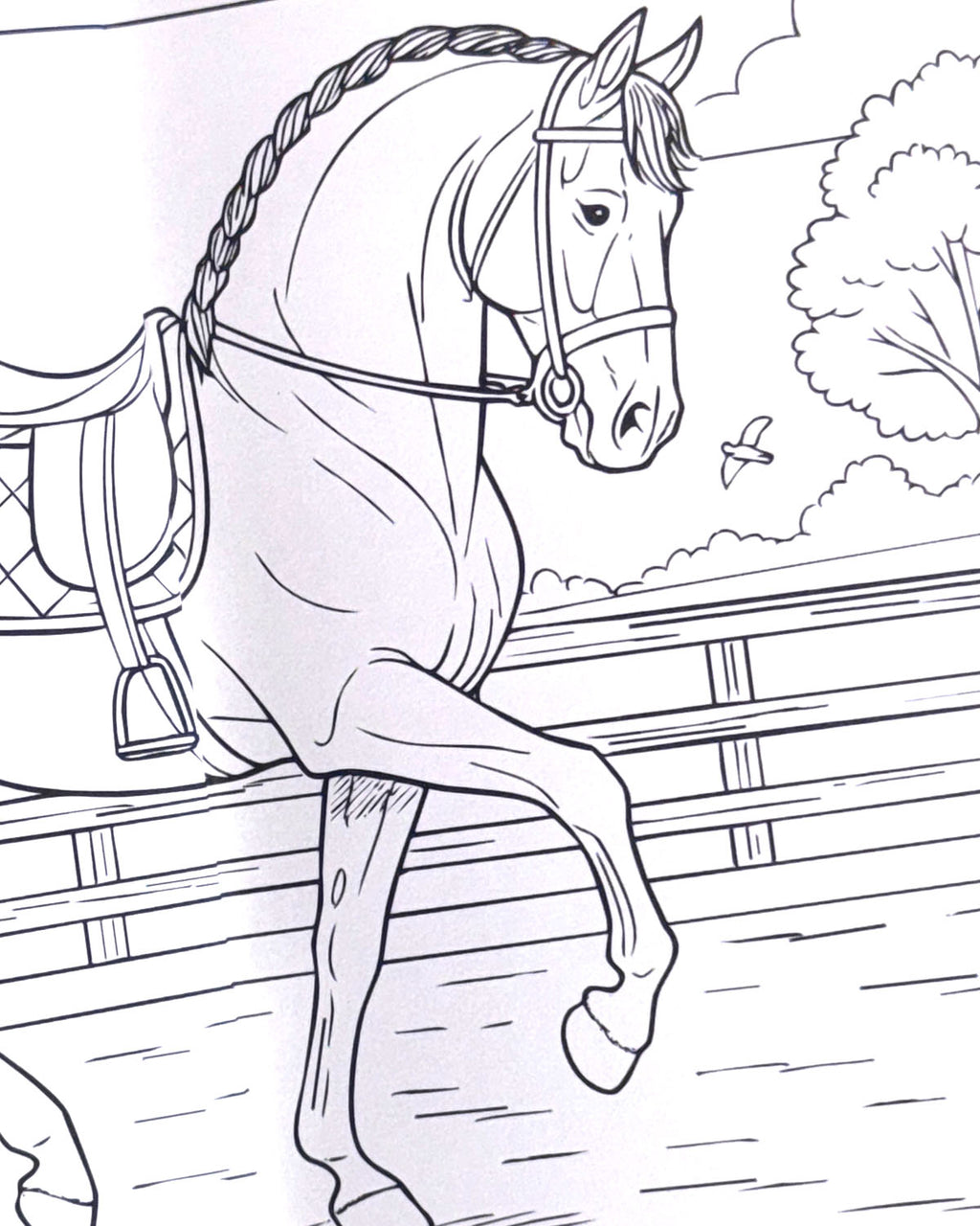 World of Horses Colouring Book