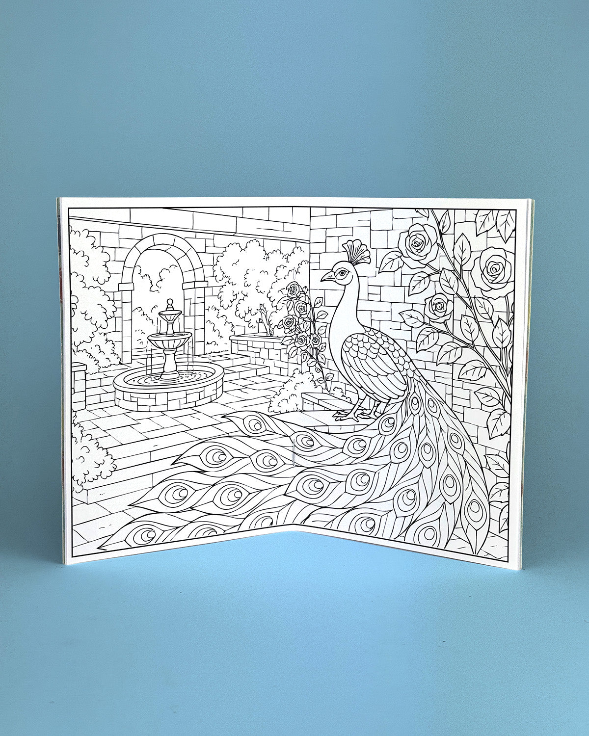 World of Birds Colouring Book