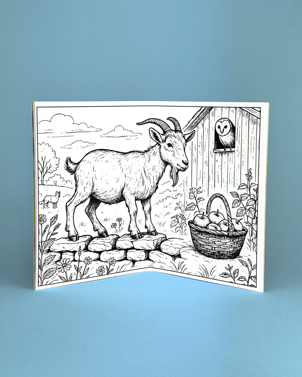 Life in the Countryside Colouring Book