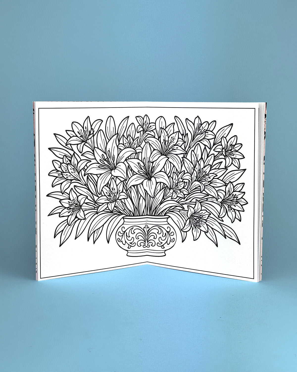World of Flowers Colouring Book