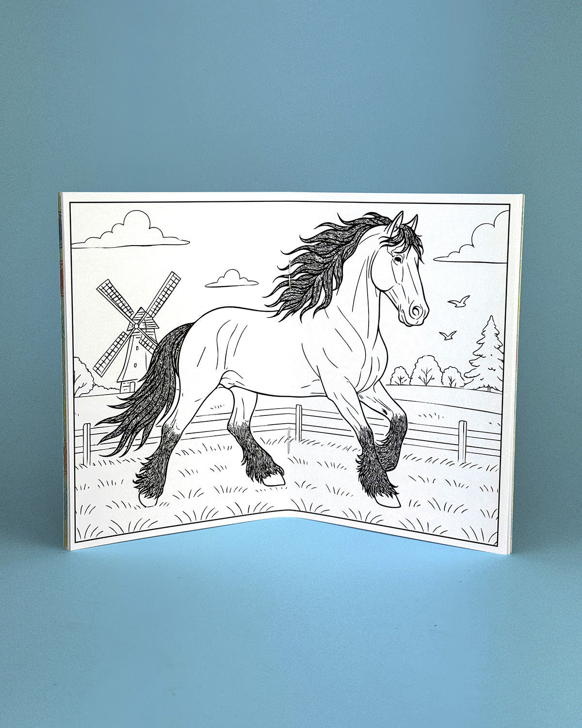 World of Horses Colouring Book