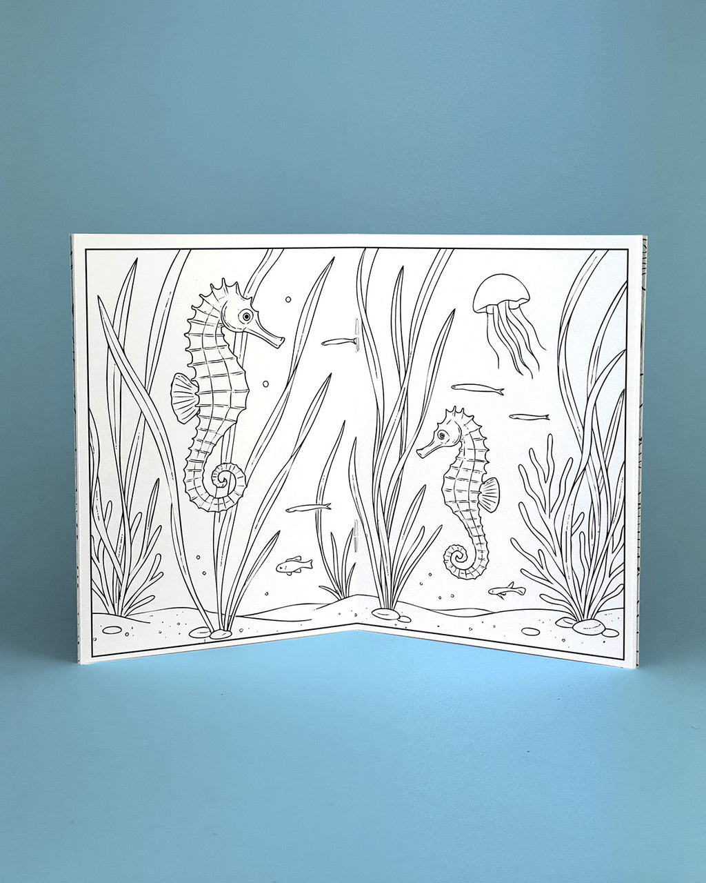 World of Sealife Colouring Book