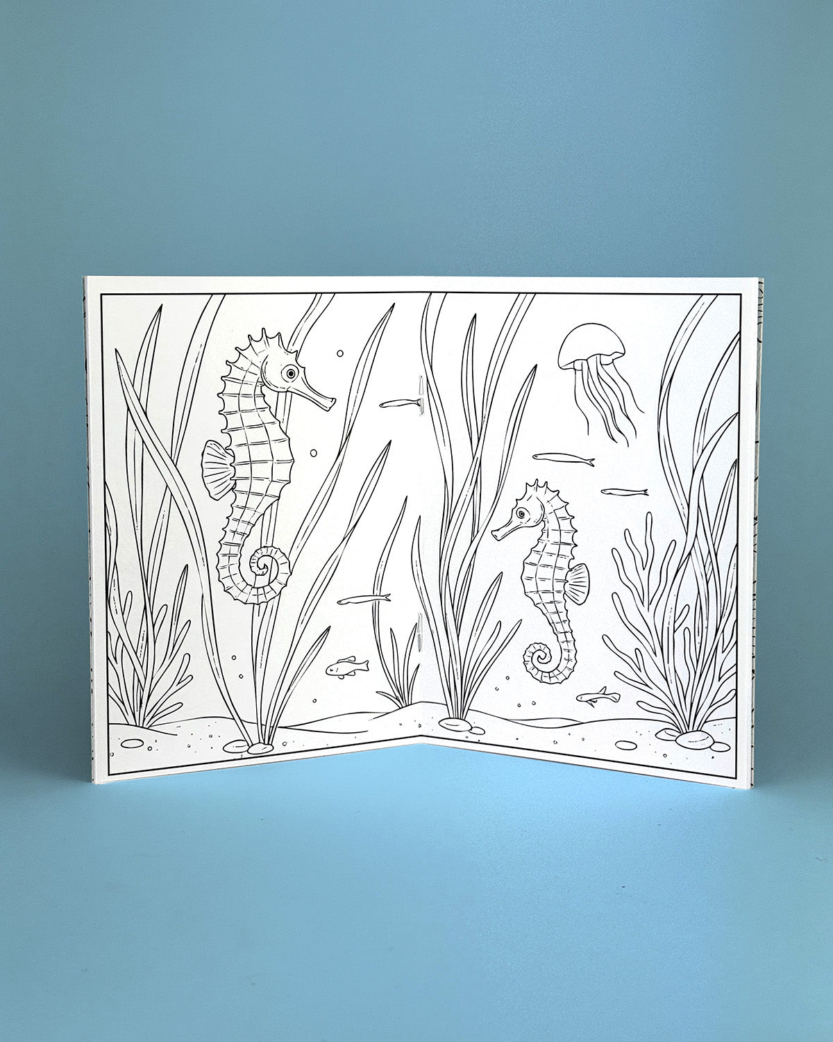 World of Sealife Colouring Book