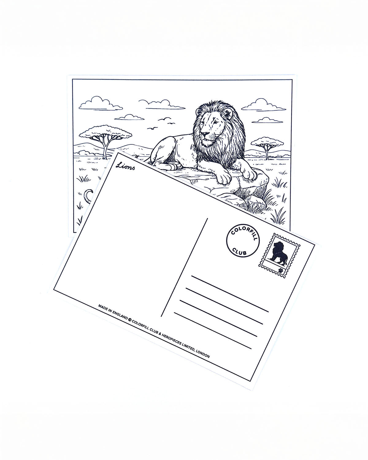 Safari Colouring Postcard Set