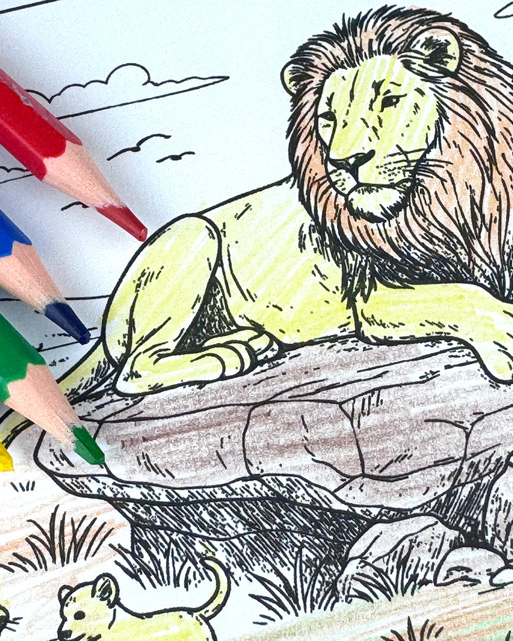 Safari Colouring Postcard Set