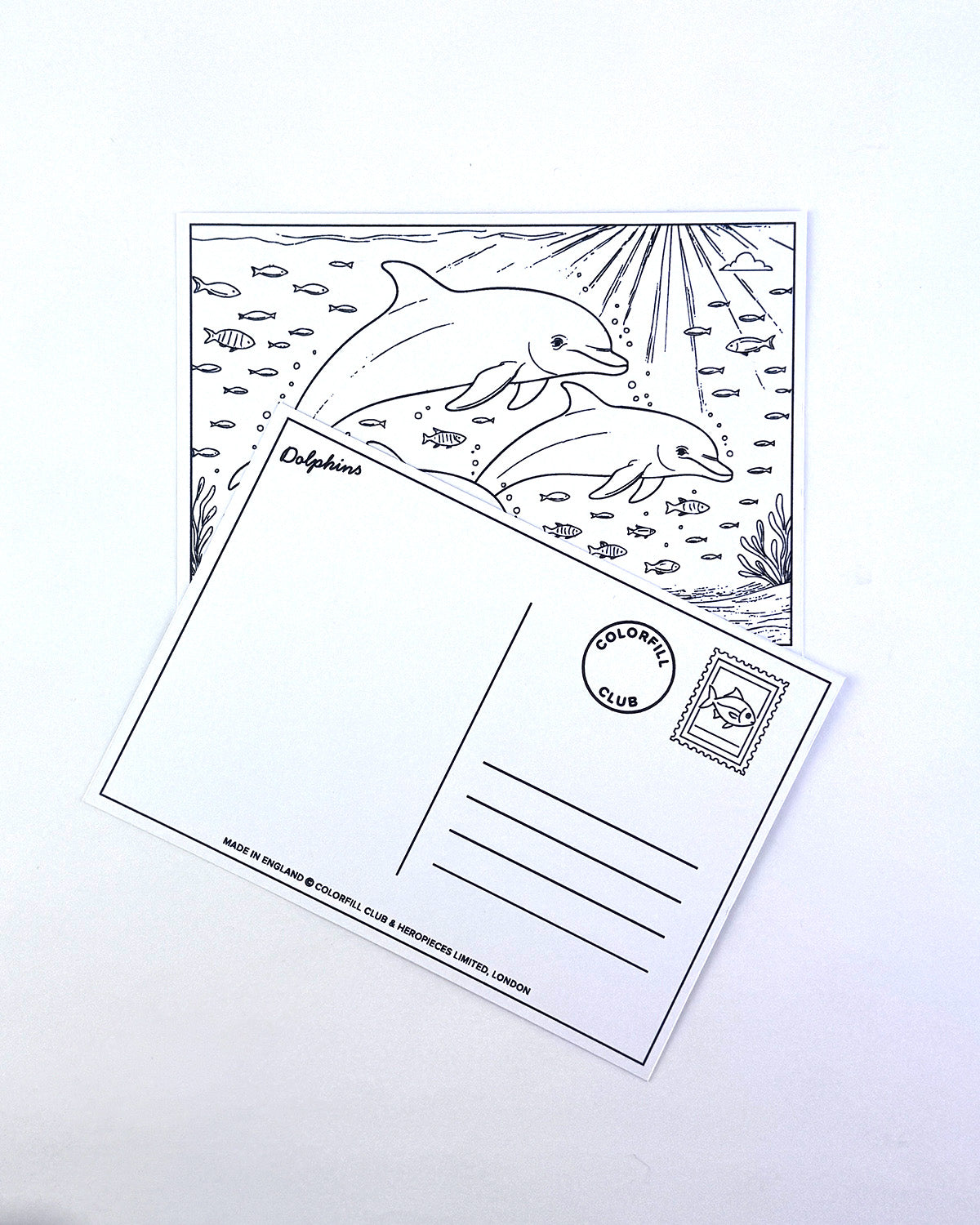 Sealife Colouring Postcard Set