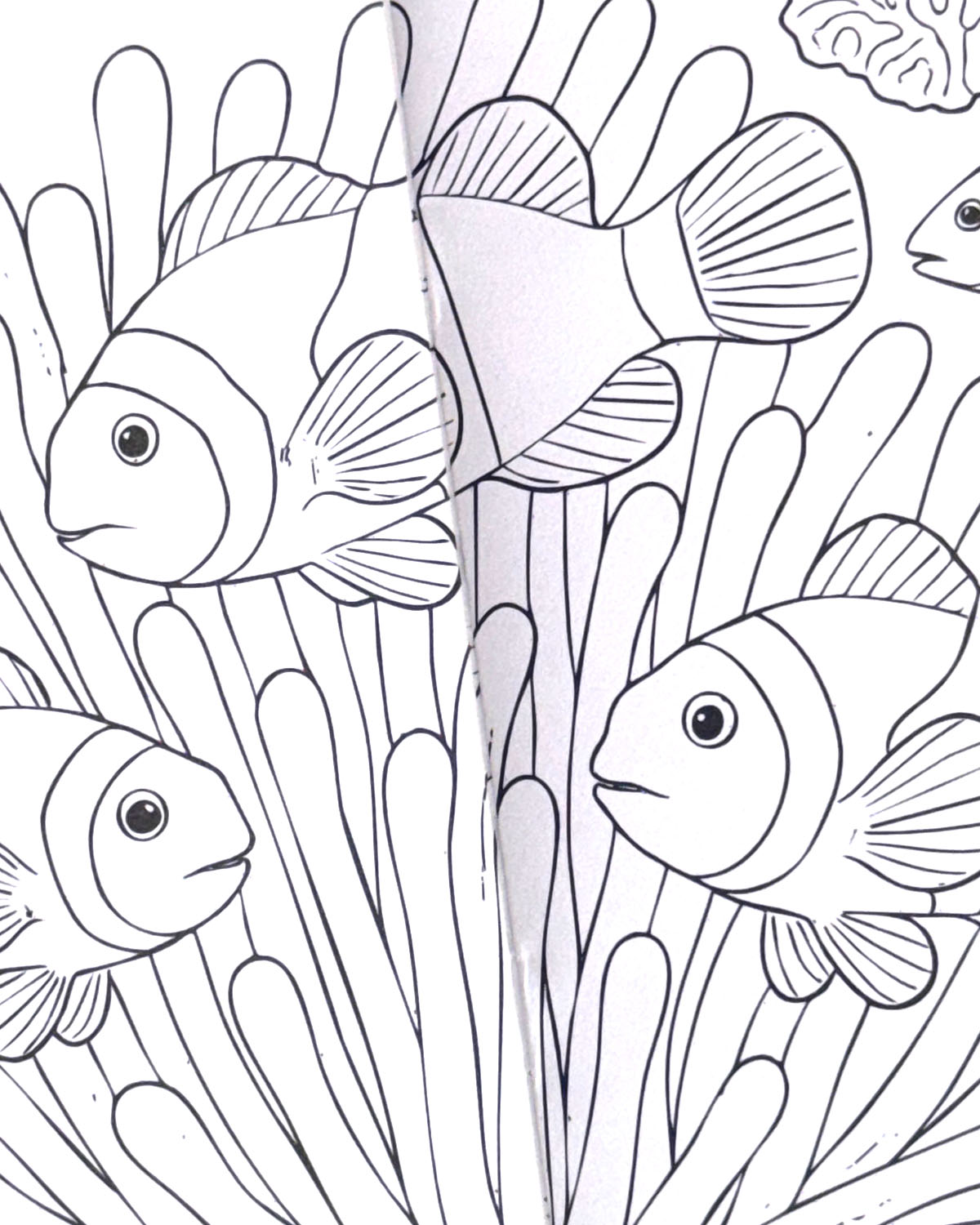 World of Sealife Colouring Book