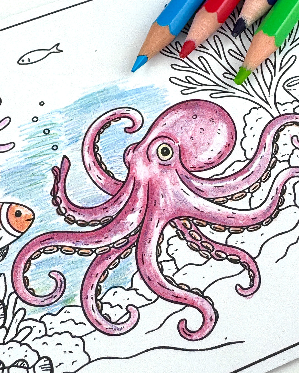 Sealife Colouring Postcard Set
